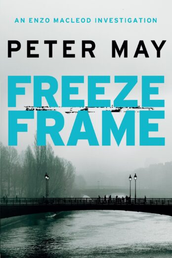 Freeze Frame (The Enzo Files, 4)