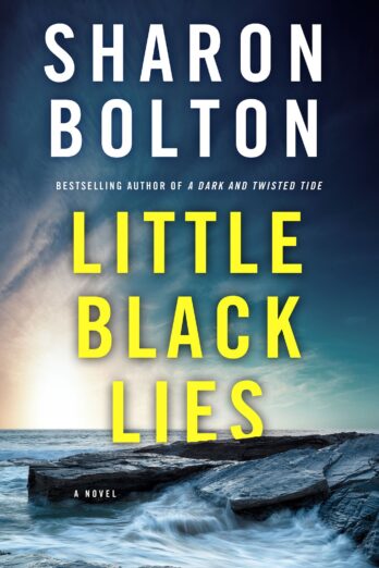 Little Black Lies: A Novel