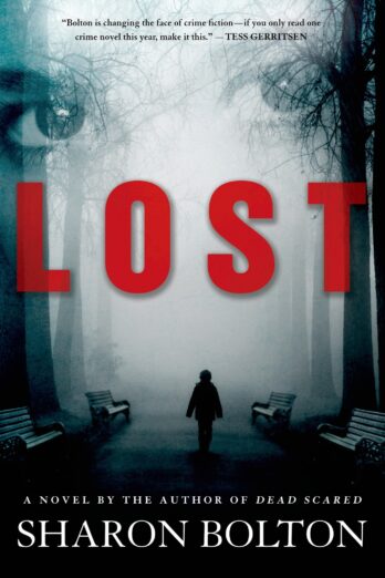 Lost: A Lacey Flint Novel (Lacey Flint series Book 3)