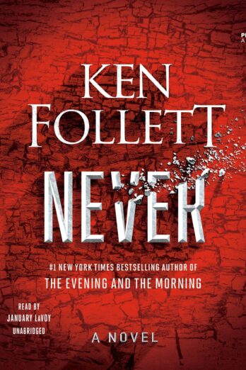 Never: A Novel