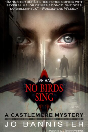 No Birds Sing (A Castlemere Mystery Book 4)