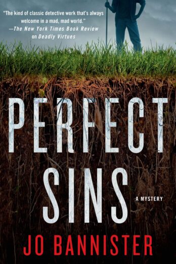 Perfect Sins: A Mystery