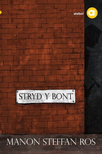 Stryd y Bont (Welsh Edition)