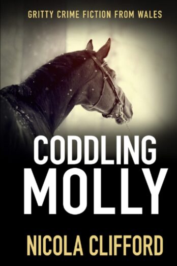 Coddling Molly: Gritty crime fiction from Wales (The Welsh crime mysteries)