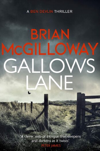 Gallows Lane: An ex con and drug violence collide in the borderlands of Ireland… (Ben Devlin Book 2)