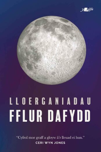 Lloerganiadau (Welsh Edition)