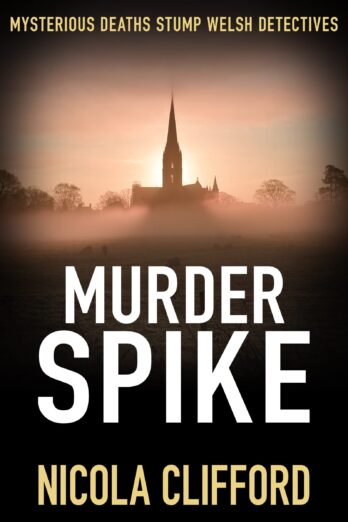 Murder Spike: Mysterious deaths stump Welsh detectives (The Welsh crime mysteries Book 7)