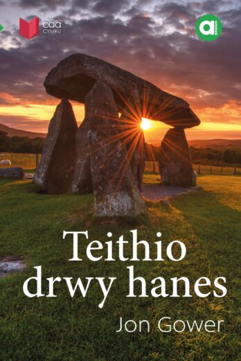 Teithio drwy hanes (Welsh Edition)