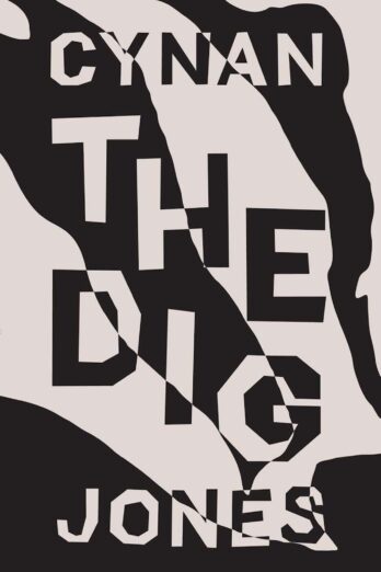 The Dig