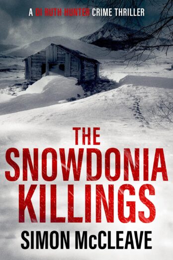 The Snowdonia Killings (A DI Ruth Hunter Crime Thriller Book 1)