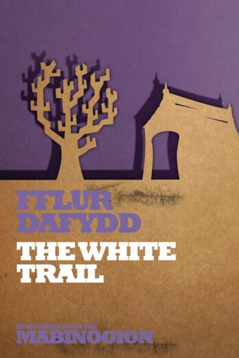 The White Trail (New Stories from the Mabinogion)