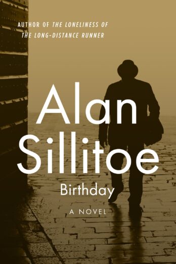 Birthday: A Novel (The Seaton Novels)