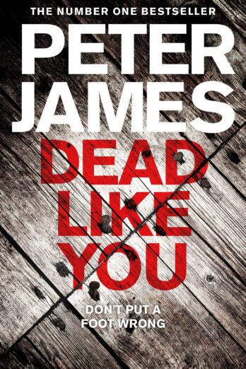 Dead Like You: A Chilling British Detective Crime Thriller (Roy Grace Book 6)