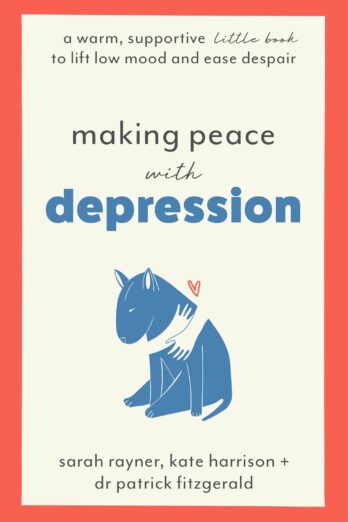 Making Peace with Depression: A warm, supportive little book to lift low mood and ease despair (Making Friends With)