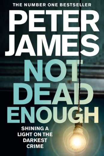 Not Dead Enough: A Chilling Serial Killer Thriller (Roy Grace Book 3)