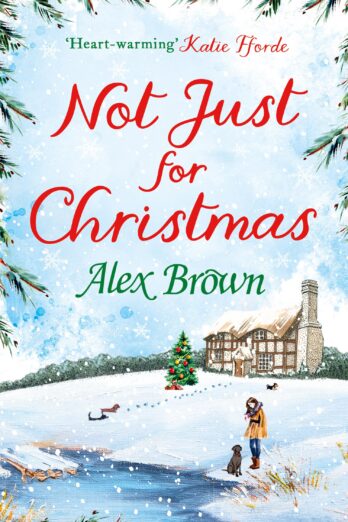 Not Just for Christmas: Curl up with this cosy Christmas short romance