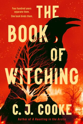 The Book of Witching Cover Image