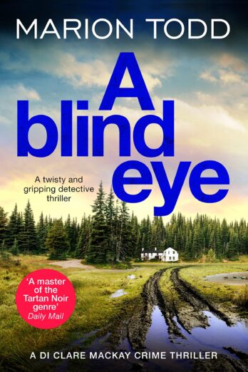 A Blind Eye: A twisty and gripping detective thriller (Detective Clare Mackay Book 7)