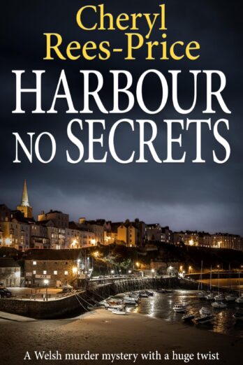 Harbour No Secrets: A Welsh murder mystery with a huge twist (DI Winter Meadows Book 8)