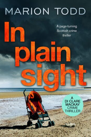 In Plain Sight: A page-turning Scottish crime thriller (Detective Clare Mackay Book 2)