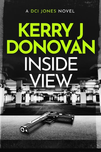 Inside View: A DCI Jones novel (The DCI Jones Casebook Book 4)