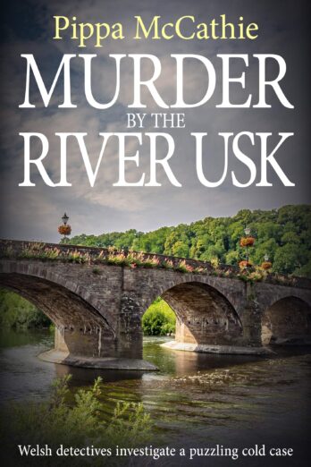 MURDER BY THE RIVER USK: Welsh detectives investigate a puzzling cold case (The Havard and Lambert mysteries Book 3)