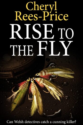 Rise to the Fly: Can Welsh detectives catch a cunning killer? (DI Winter Meadows Book 6)