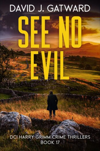 See No Evil (DCI Harry Grimm Crime Thrillers Book 17)