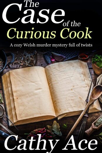 THE CASE OF THE CURIOUS COOK a cozy Welsh murder mystery full of twists (WISE Enquiries Agency Mysteries Book 3)