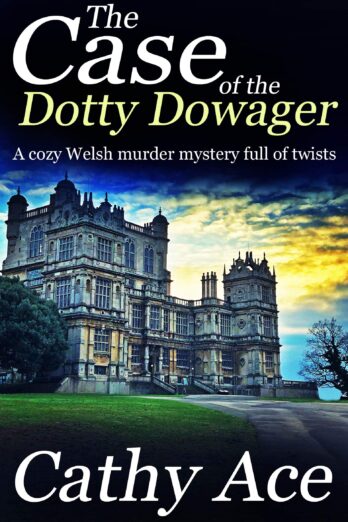 THE CASE OF THE DOTTY DOWAGER a cozy Welsh murder mystery full of twists (WISE Enquiries Agency Mysteries Book 1)