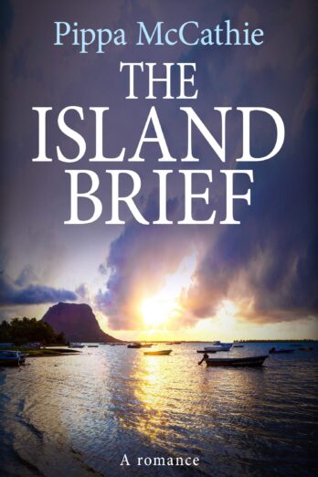 THE ISLAND BRIEF: a romance