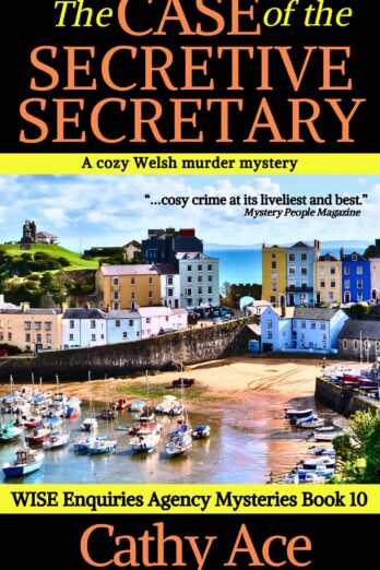 The Case of the Secretive Secretary a cozy Welsh murder mystery full of twists (WISE Enquiries Agency Mysteries Book 10)