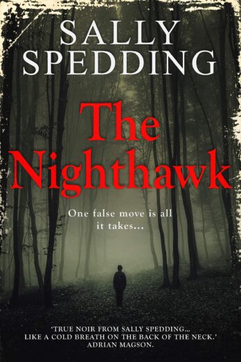 The Nighthawk (DI John Lyon Thriller Book 1)