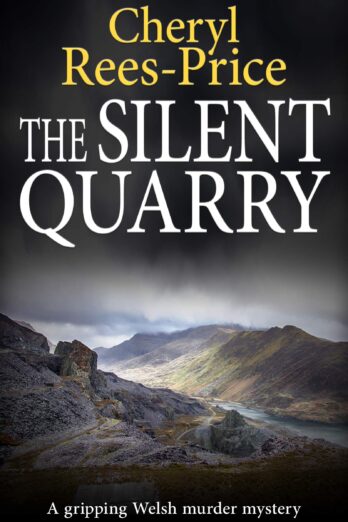 The Silent Quarry (DI Winter Meadows Book 1)