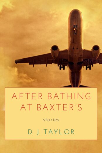 After Bathing at Baxters: Stories