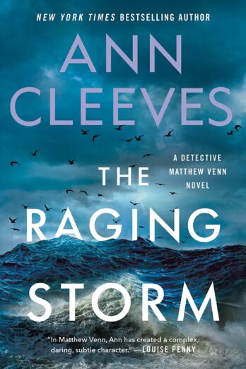 The Raging Storm (Matthew Venn series, 3)