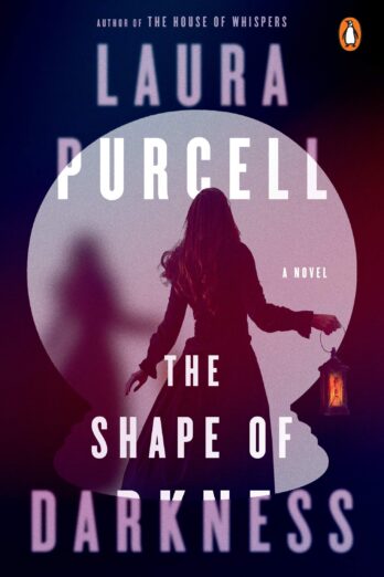 The Shape of Darkness: A Novel