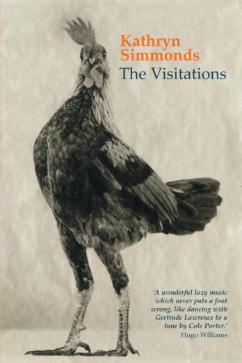 The Visitations Cover Image