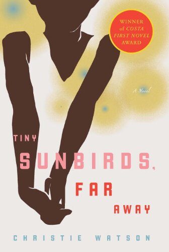 Tiny Sunbirds, Far Away: A Novel