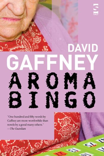 Aromabingo (Salt Modern Fiction)