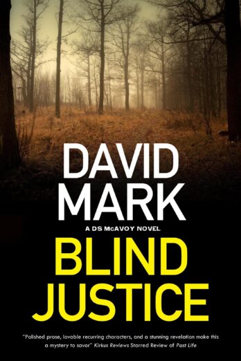 Blind Justice (A DS McAvoy novel Book 10)