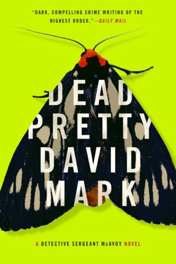 Dead Pretty (Detective Sergeant McAvoy Book 6)