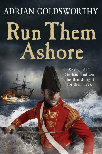 Run Them Ashore (The Napoleonic Wars Book 5)