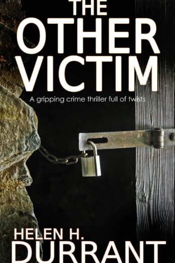 THE OTHER VICTIM (Matt Brindle Book 2)