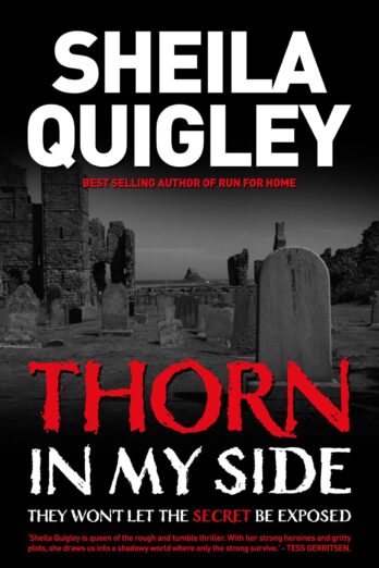 THORN IN MY SIDE (HOLY ISLAND TRILOGY series Book 1)