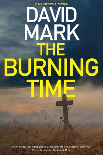 The Burning Time (A DS McAvoy novel Book 12)