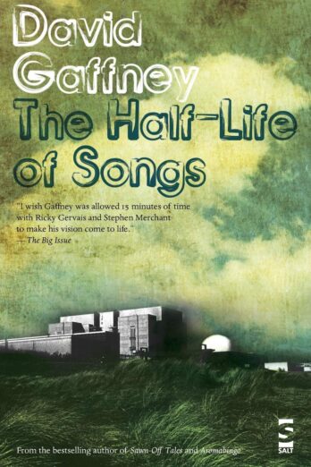 The Half-Life of Songs