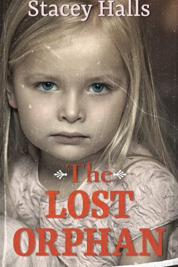 The Lost Orphan (Wheeler Publishing Large Print Hardcover)