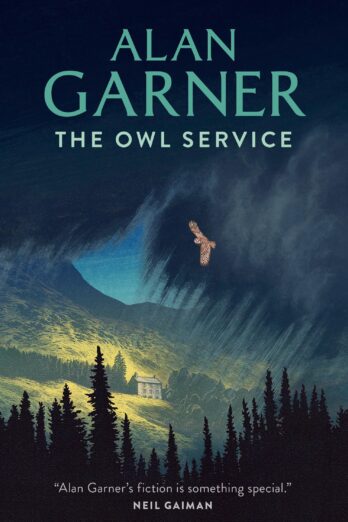 The Owl Service (Collins Modern Classics S)