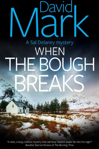 When the Bough Breaks (A Sal Delaney mystery)